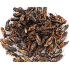 Trópus Dried Cricket - Szárított tücsök 40 g